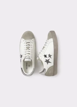 Brownie Zapatos*Deportiva estrellas